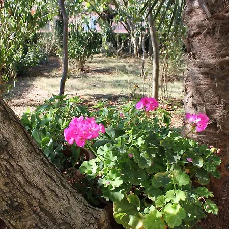 Apartamento 7188d Fažana